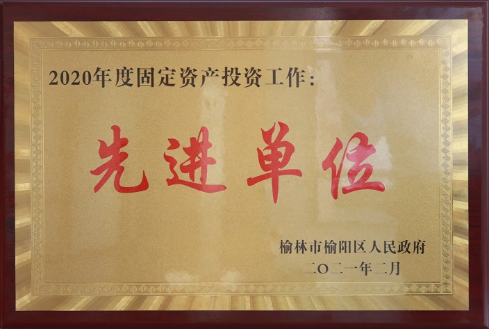 1615268957159045.jpeg 2020年固定资产投资先进单元.jpg