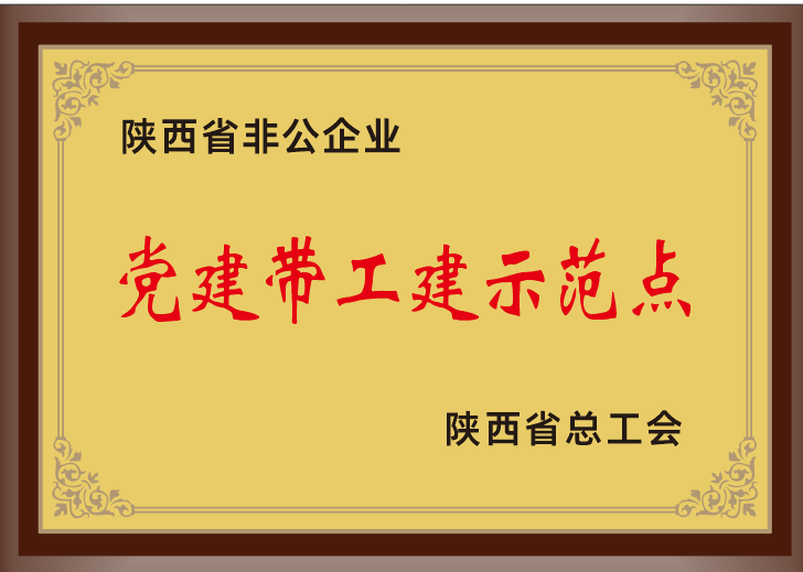 36.2023年，被陕西省总工会授予陕西省非公企业党建带工建示范点；.png